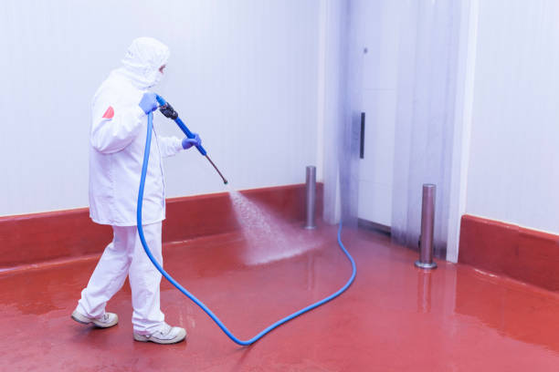 Best Roof Cleaning and Mildew Removal in Farmers Branch, TX